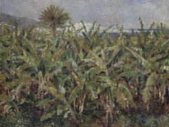 1881 Field of Banana Trees  2000X1522