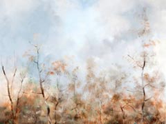 Paseo del Prado,1955