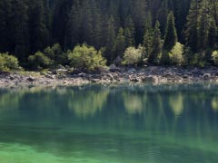 Lake Bergsee Green Blue Beach