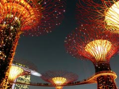 Garden by the bay Singapore
