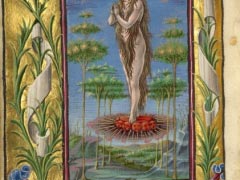 about 1469 Mary Magdalene Borne Aloft 1544x2200