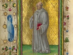 about 1469 Saint Bernard 1545x2200