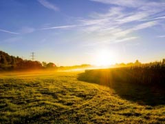Meadow Sunrise Morning Mist Fog