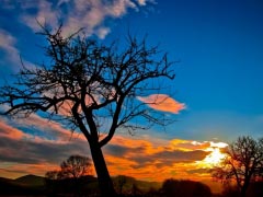 Sunset Evening Sky Afterglow Clouds