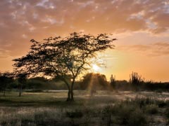 Sunset Margarita Island Las Guevaras Venezuela