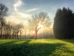 Trees Landscape Sunshine Sunset Rural